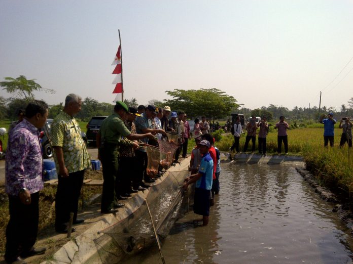 cibukkidul