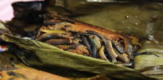 Pepes Belut Godean