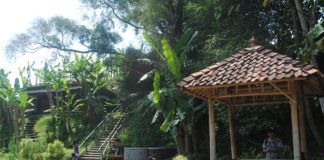 Songsong ‘Bali Baru’ Joglosemar, Sleman Siapkan 300 Homestay di Desa Wisata