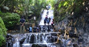 Terkenal dengan Salak Dewi Pule