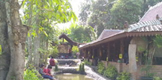 Kampung Flory, Homestay Desa Wisata Tanaman Hias dengan Kolam Terapi Ikan