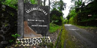 Seribu Satu Alasan untuk Jatuh Cinta pada ‘Dewi Peri’ Jogja