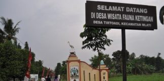 Desa Wisata Ketingan : Ketika Burung-burung Pulang ke Sarang