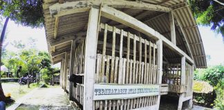 Mengunjungi Desa Nganggring, Pusat Susu Etawa di Lereng Gunung Merapi