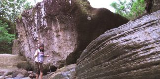Desa Wisata Nawung