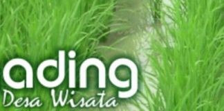 Desa Wisata Palgading : Tempat Berbagai Kerajinan Kulit Serat Alam