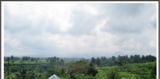 Desa Wisata Trumpon : Budidaya Salak di Desa Trumpon