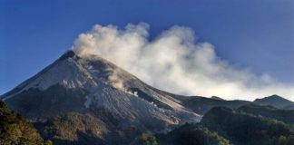 Sleman Ingin Anggrek Sedot Wisatawan