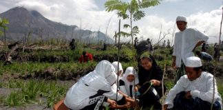 Jelajah Wisata Merapi Suguhkan Aneka Kecantikan Flora Pegunungan
