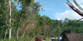 Menyusuri Shiva Plateau , Jejak Lampau yang Terus Memukau