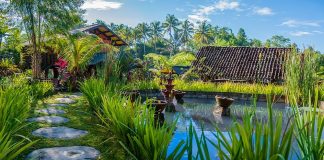 Desa Wisata Kembang Arum