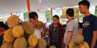 7 Festival Durian Terheboh Sepanjang 2017