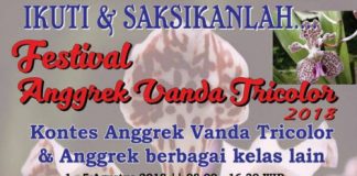 Festival Anggrek Vanda Tricolor 2018
