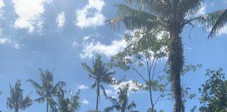 Monitoring Destinasi Wisata dan Penginapan : Memastikan Norma, Standar, Prosedur dan Kriteria